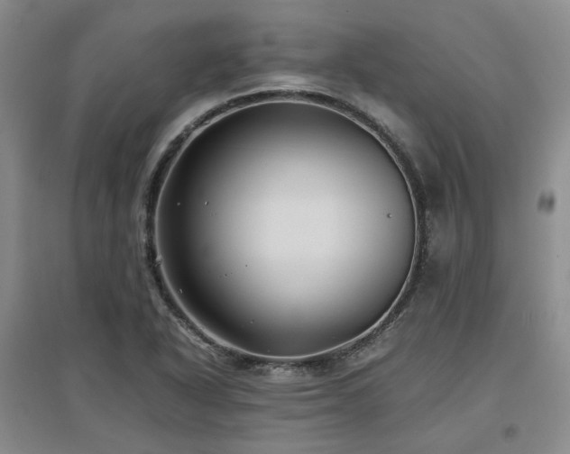 X0000097501318200802221435