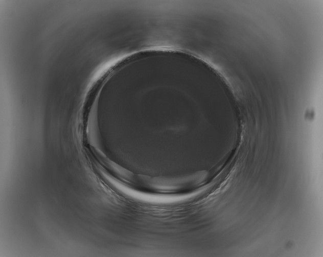 X0000097501319200802221435
