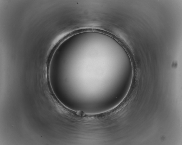 X0000097501320200802221435
