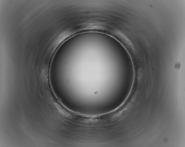 X0000097501321200802221435