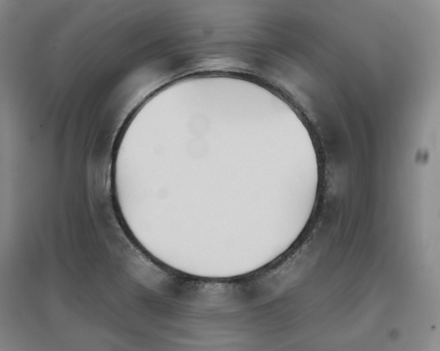 X0000097501322200802221435
