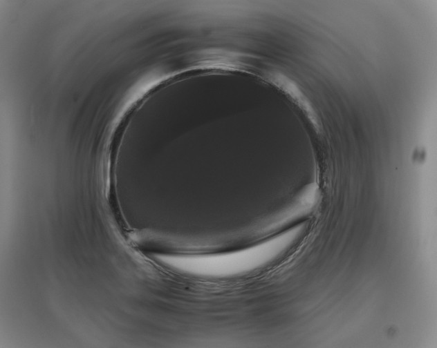 X0000097501323200802221436