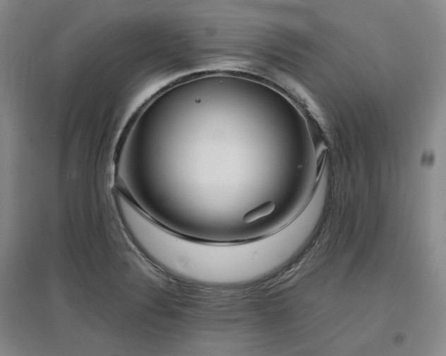 X0000097501324200802221436