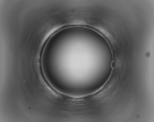 X0000097501325200802221436