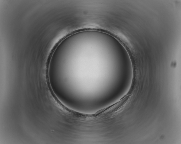 X0000097501326200802221436