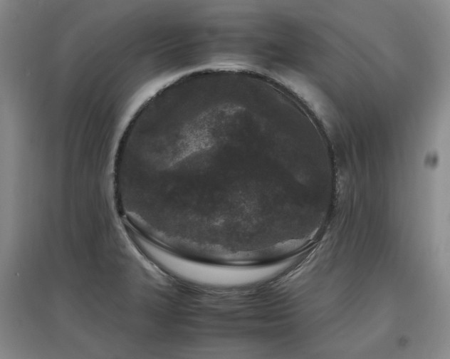 X0000097501327200802221436
