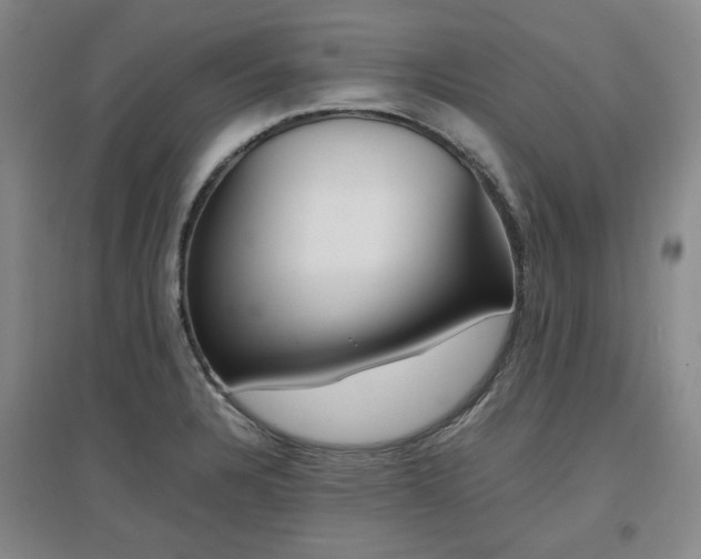 X0000097501328200802221436