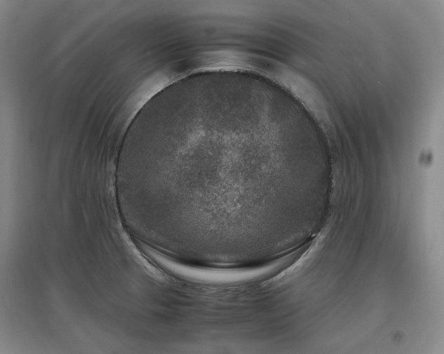 X0000097501329200802221436