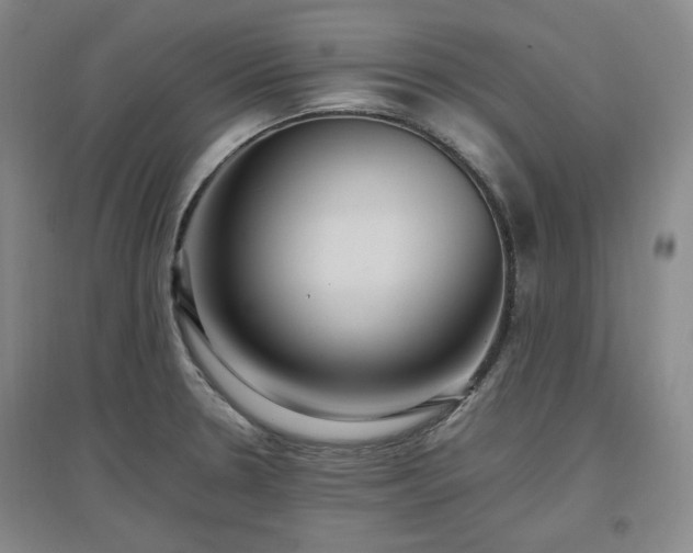 X0000097501330200802221436