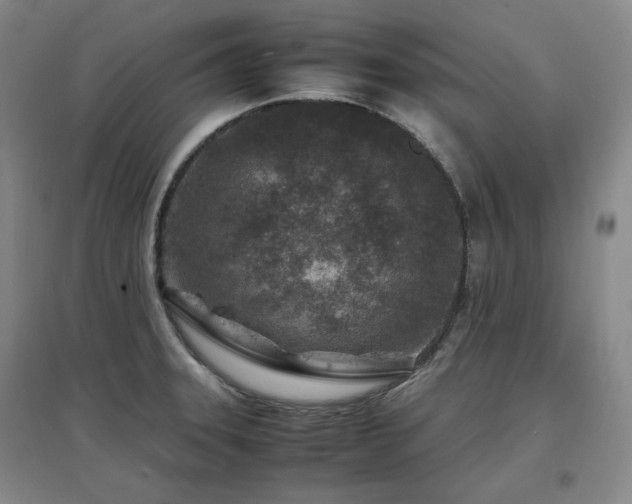 X0000097501331200802221436