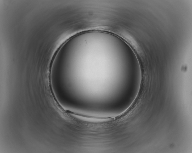 X0000097501332200802221436