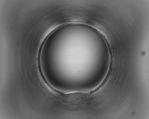 X0000097501333200802221436