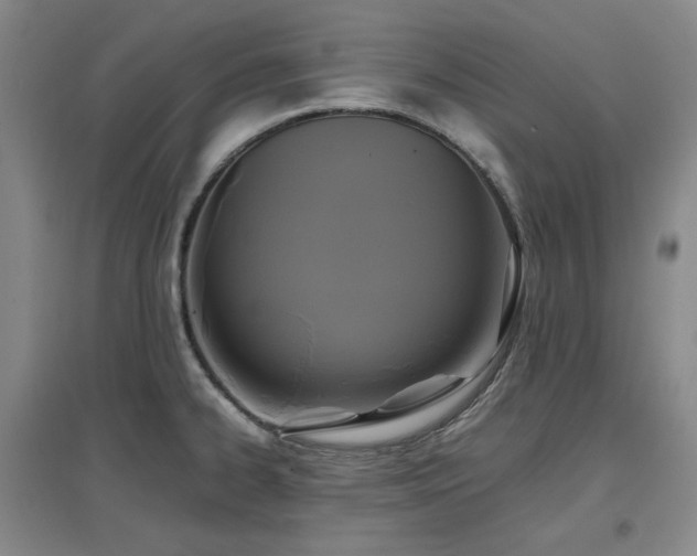 X0000097501334200802221436
