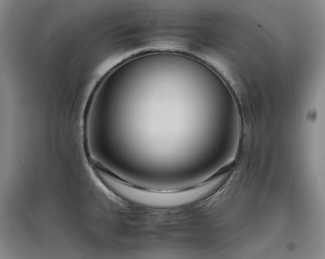 X0000097501335200802221436