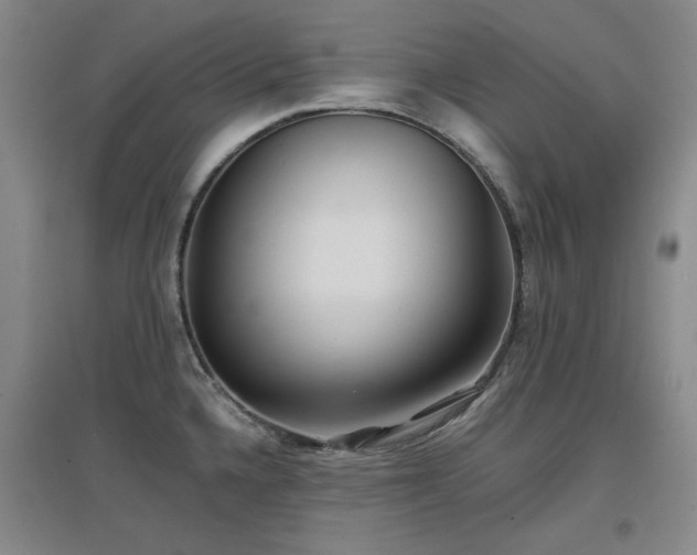X0000097501336200802221436