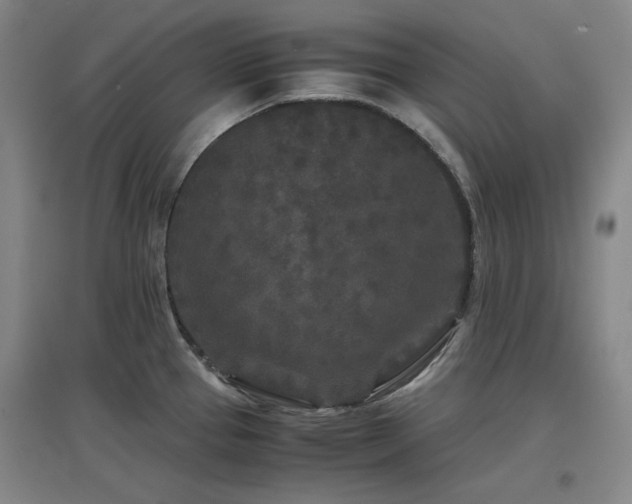 X0000097501337200802221436