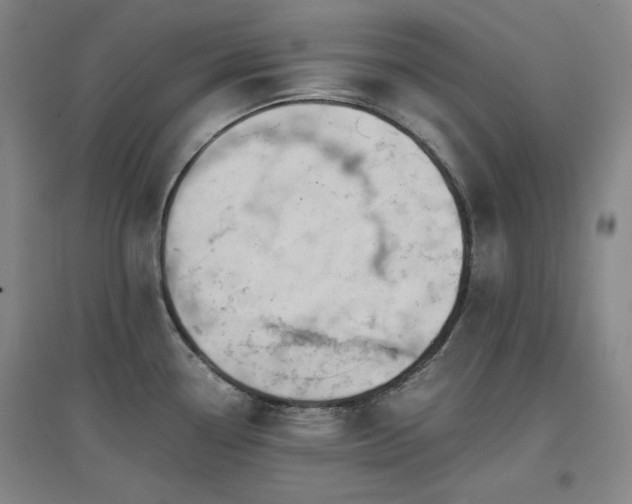 X0000097501338200802221436