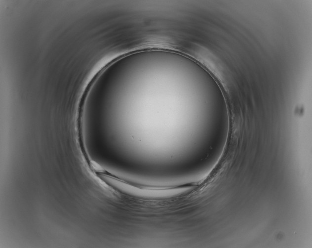 X0000097501339200802221436