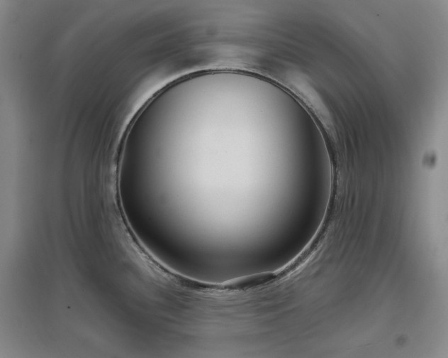 X0000097501340200802221436