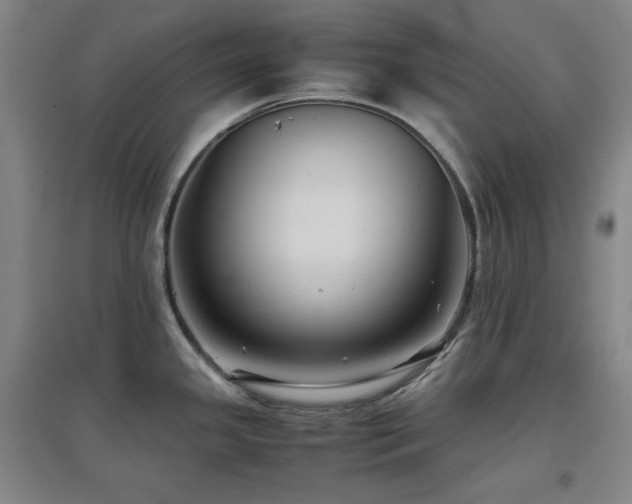 X0000097501341200802221436