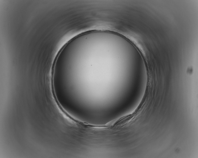 X0000097501343200802221436