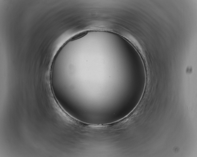 X0000097501344200802221436