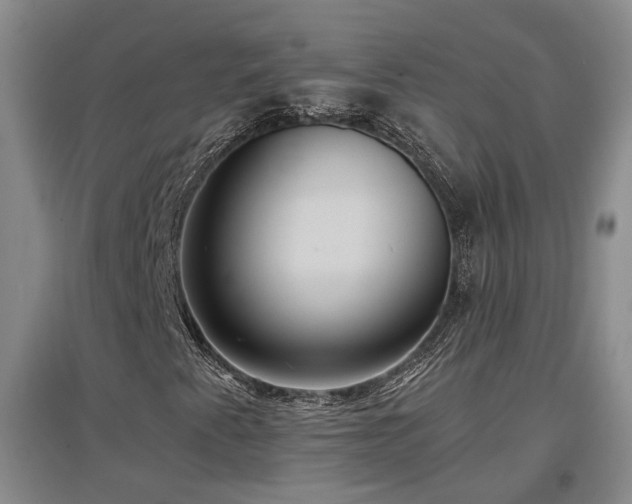 X0000097501345200802221435