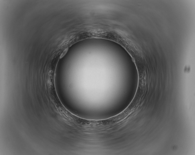 X0000097501346200802221435