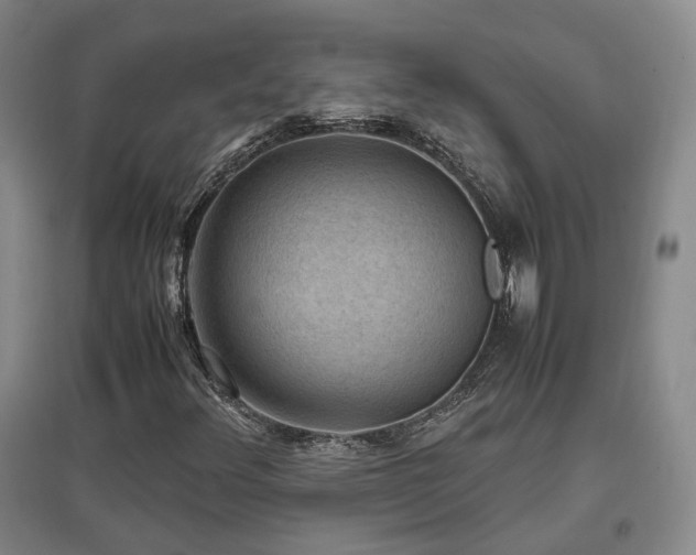 X0000097501348200802221435