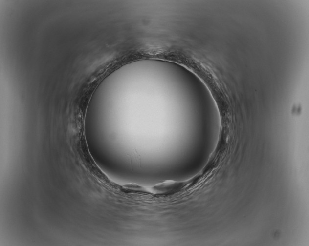 X0000097501349200802221435