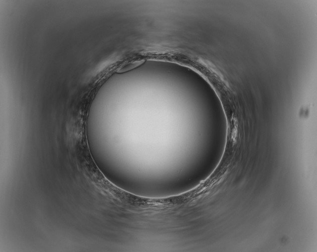 X0000097501350200802221435