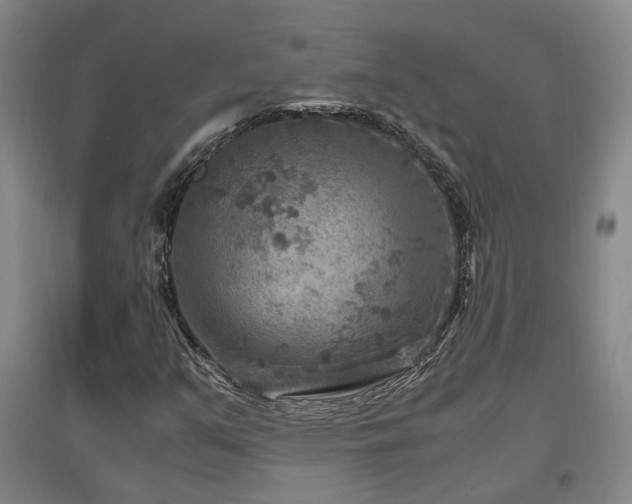 X0000097501351200802221435