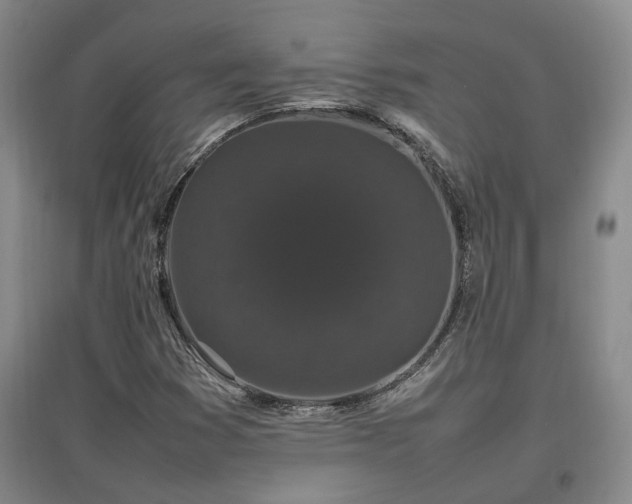 X0000097501353200802221435