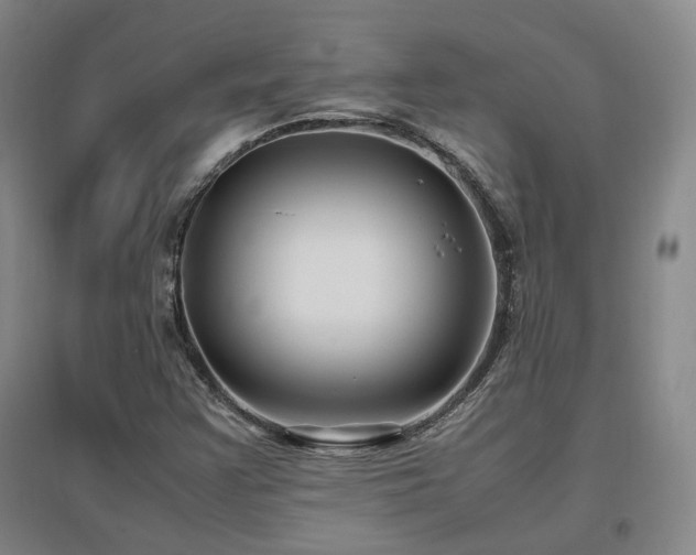 X0000097501355200802221435