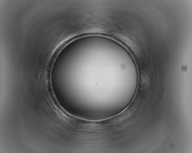 X0000097501356200802221435