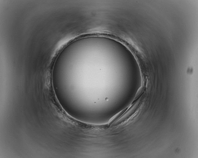 X0000097501358200802221435
