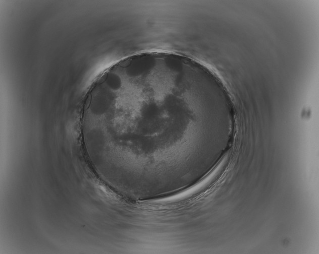 X0000097501359200802221435