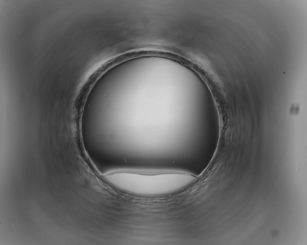 X0000097501360200802221435