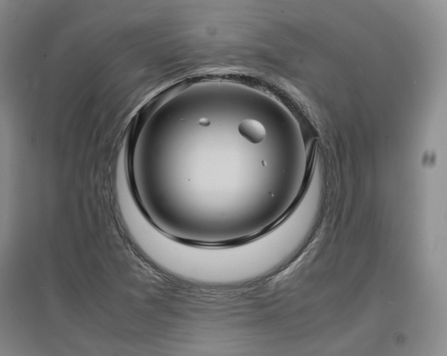 X0000097501361200802221435