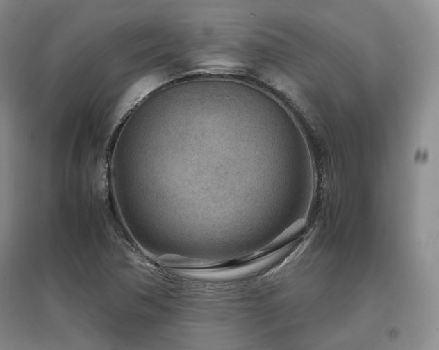 X0000097501362200802221435