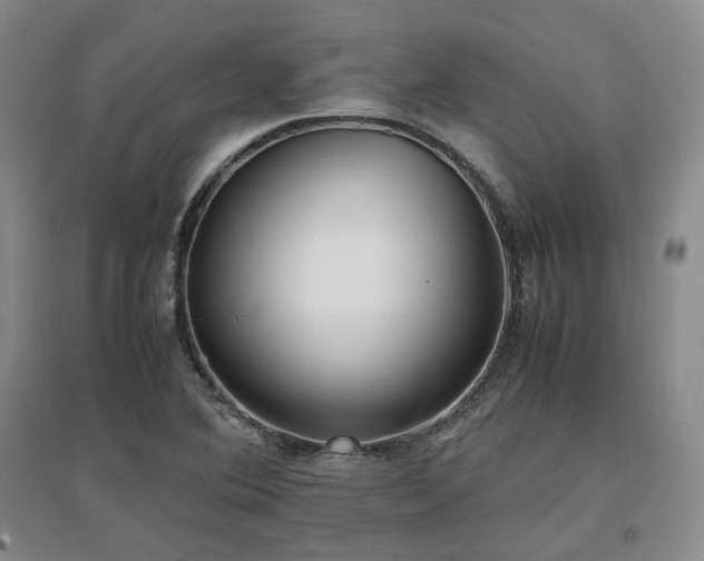 X0000097501364200802221435