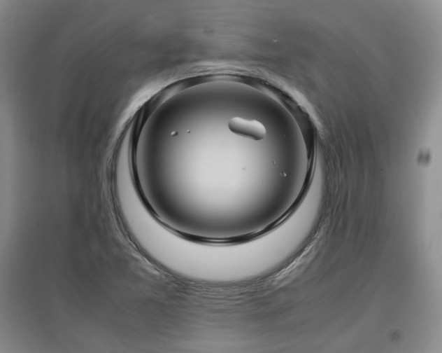 X0000097501365200802221435