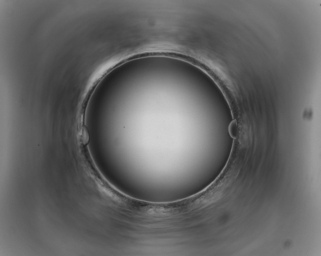 X0000097501366200802221435