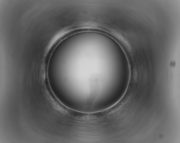 X0000097501368200802221435