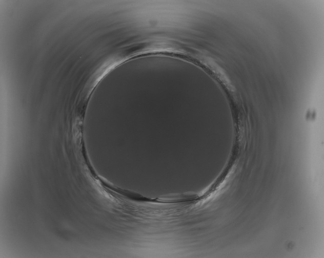 X0000097501369200802221435