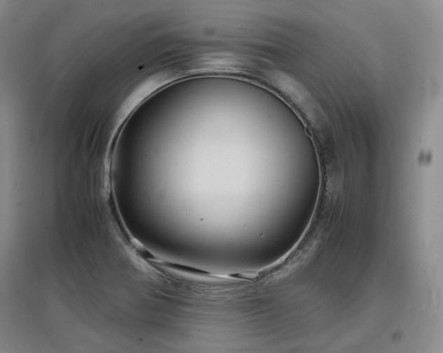 X0000097501370200802221435