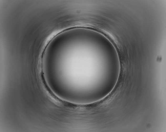X0000097501371200802221435