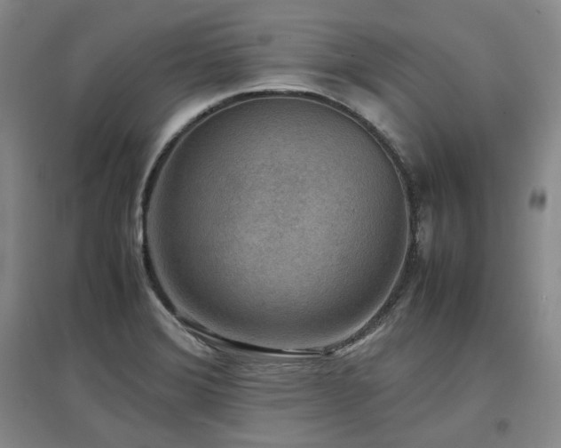 X0000097501372200802221435