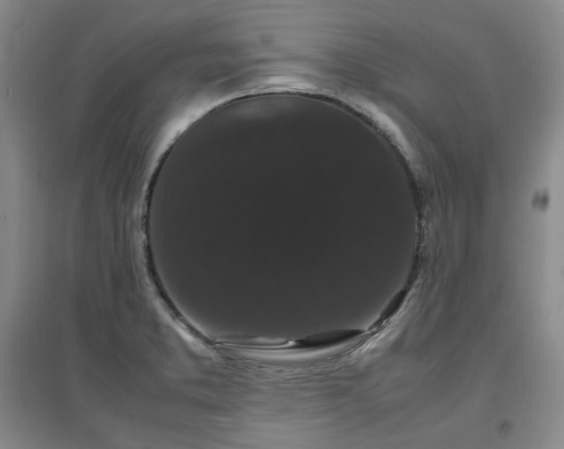 X0000097501373200802221435