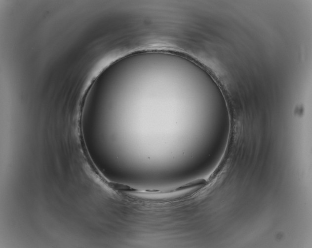 X0000097501374200802221435